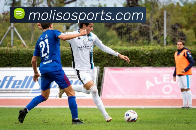 球赛投注平台生态图